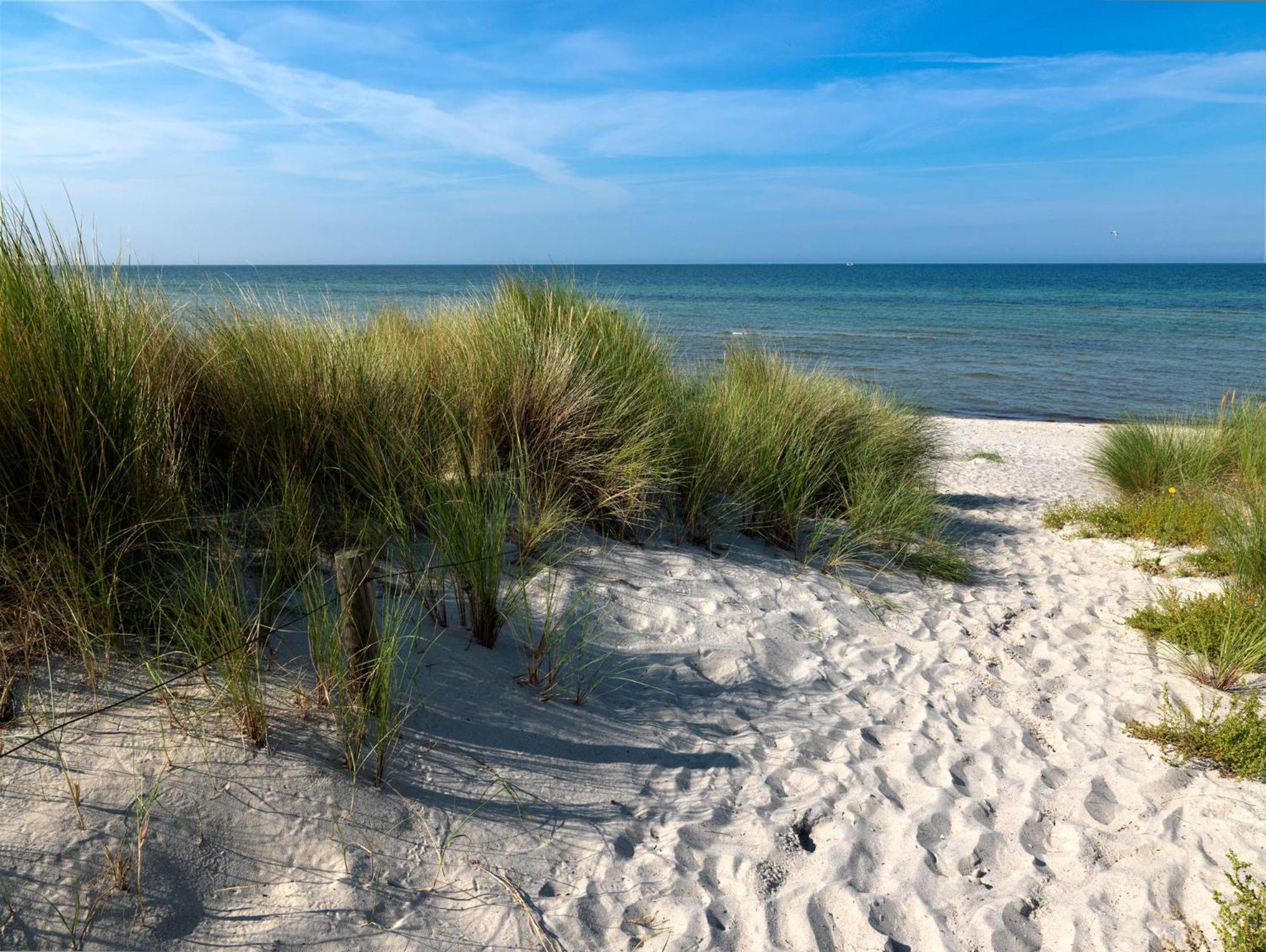Landhaus Residenz Ostsee Meeresbrise Insel Poel Bagian luar foto